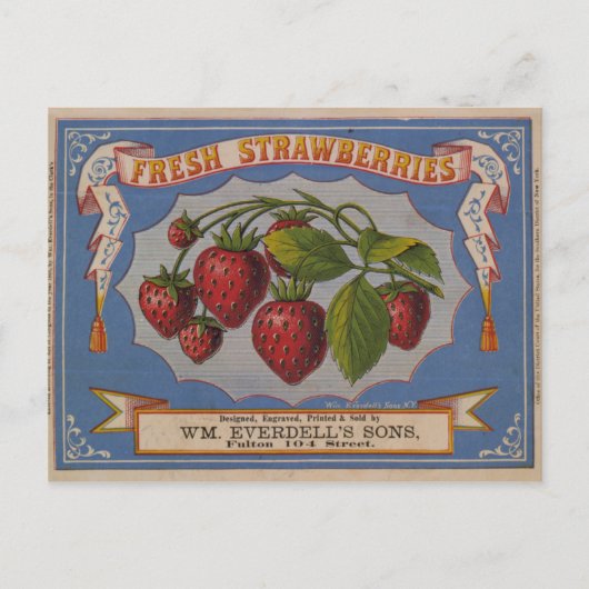 Carte Postale Fraises fraîches (Devant)