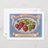 Carte Postale Fraises fraîches (Devant / Derrière)