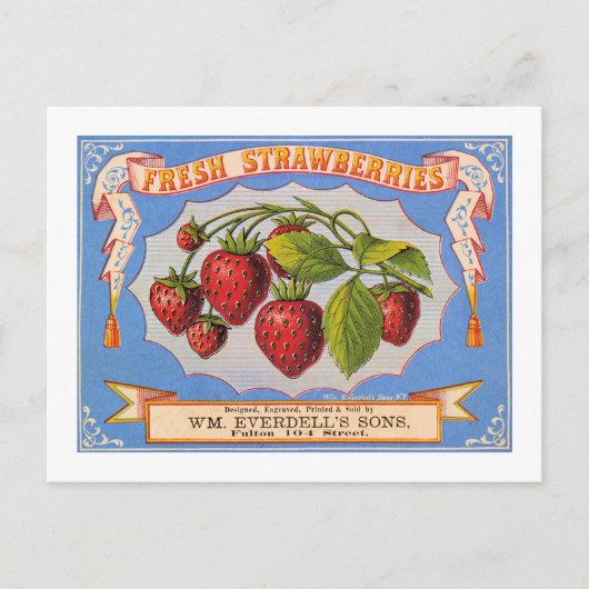 Carte Postale Fraises fraîches (Devant)