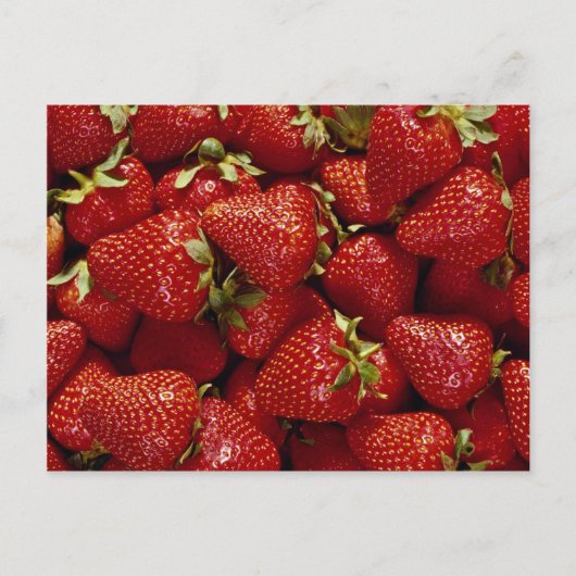 Carte Postale Fraises Photo (Devant)