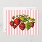 Carte Postale Fraises sur bandes rose et blanche (Devant / Derrière)