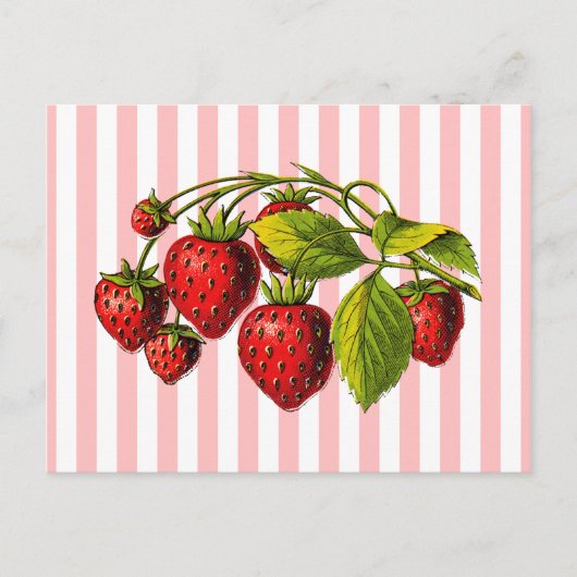 Carte Postale Fraises sur bandes rose et blanche (Devant)