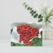 Carte Postale Framboise (Debout devant)