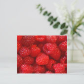 Carte Postale Framboise (Debout devant)