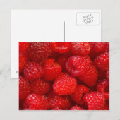 Carte Postale Framboise (Devant / Derrière)