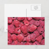 Carte Postale Framboise (Devant / Derrière)