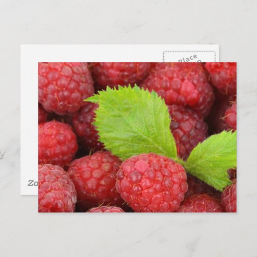 Carte Postale Framboise (Devant / Derrière)