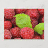 Carte Postale Framboise (Devant)
