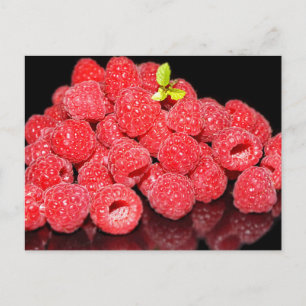 Carte Postale framboise, nourriture, fruit, baie, mûr, frais