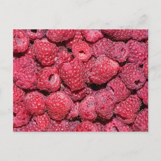 Carte Postale Framboises (Devant)