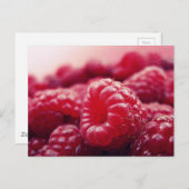 Carte Postale Framboises 6 (Devant / Derrière)