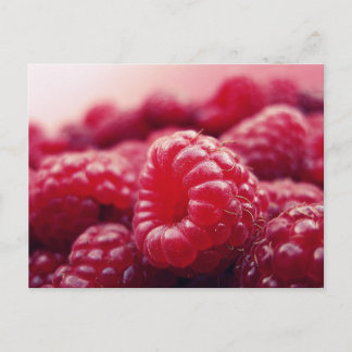 Carte Postale Framboises 6