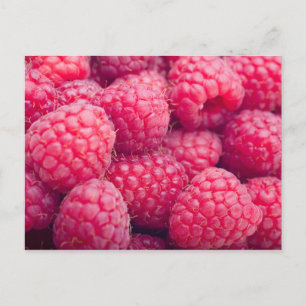 Carte Postale Framboises fraîches