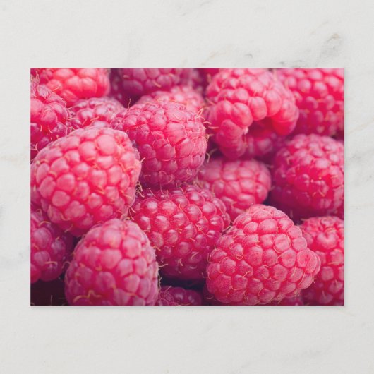 Carte Postale Framboises fraîches (Devant)