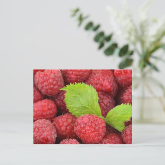 Carte Postale Framboises rouges (Debout devant)