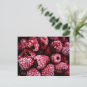 Carte Postale Framboises rouges frais (Debout devant)