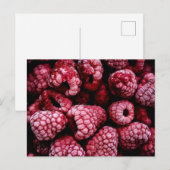 Carte Postale Framboises rouges frais (Devant / Derrière)