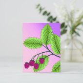 Carte Postale Framboises sur une branche (Debout devant)