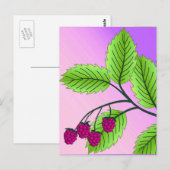 Carte Postale Framboises sur une branche (Devant / Derrière)