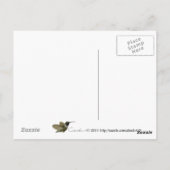 Carte Postale frambuesa frambuesa frambuesa (Dos)