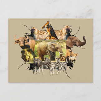 Carte Postale Frame de la faune africaine Eléphant Splash
