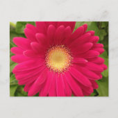 Carte postale Frame Fleur Rouge 7x5 (Devant)