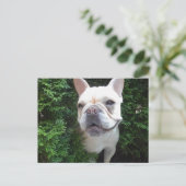 Carte Postale Français en patrouille (Debout devant)