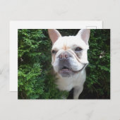 Carte Postale Français en patrouille (Devant / Derrière)