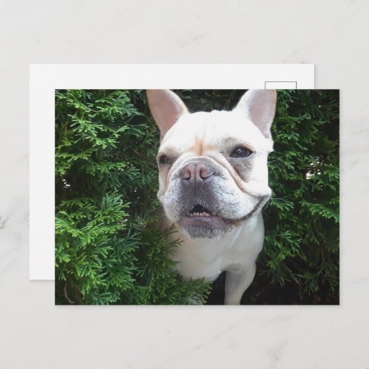 Carte Postale Français en patrouille (Devant / Derrière)