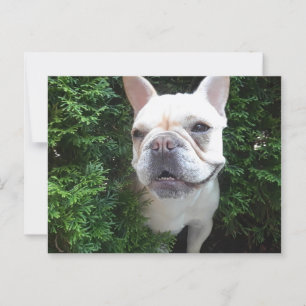 Carte Postale Français en patrouille