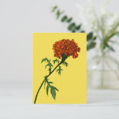 Carte Postale Français Marigold Flower Plante Lover Gardener (Debout devant)