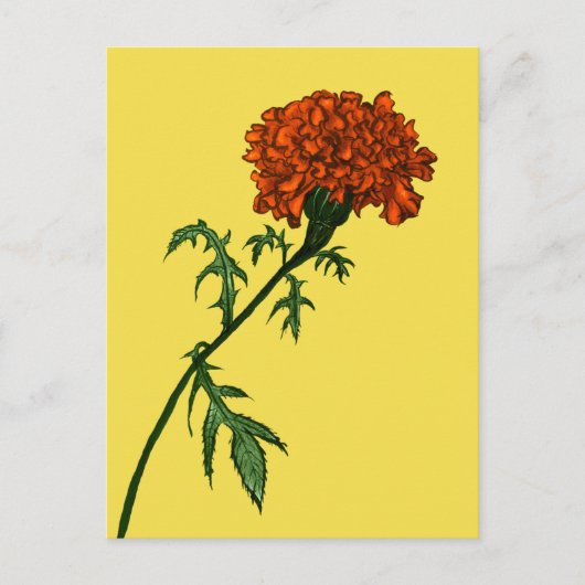 Carte Postale Français Marigold Flower Plante Lover Gardener (Devant)