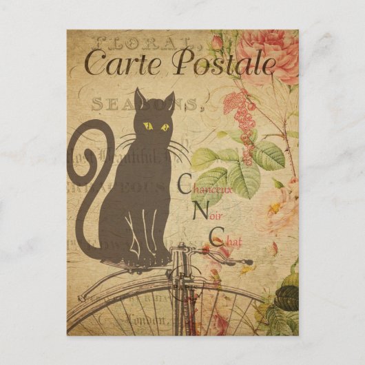 Carte postale française antique Kitty (Devant)