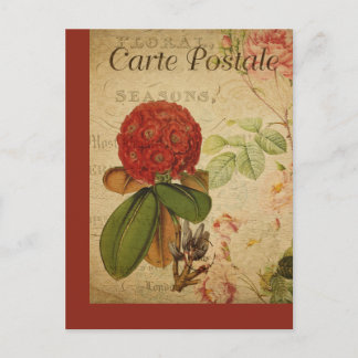Carte postale française botanique vintage Rhododen
