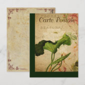 Carte postale française vintage Botanique Lotus (Devant / Derrière)