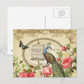 Carte postale française vintage Peacock (Devant / Derrière)