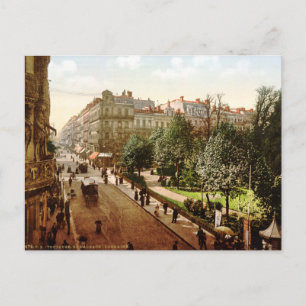 Carte Postale France vintage, Rue Alsace-Lorraine, Toulouse