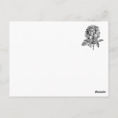 Carte Postale Frances Duncombe (Dos)