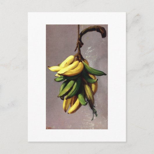 Carte Postale Francisco Oller Platanos Amarillos (Devant)