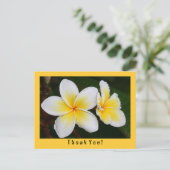 Carte Postale Frangipani (Debout devant)