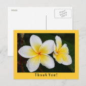 Carte Postale Frangipani (Devant / Derrière)