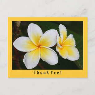 Carte Postale Frangipani