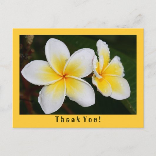 Carte Postale Frangipani (Devant)