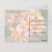 Carte Postale Frangipani (Dos)