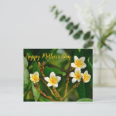 Carte Postale Frangipani jaune (Debout devant)