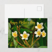 Carte Postale Frangipani jaune (Devant / Derrière)