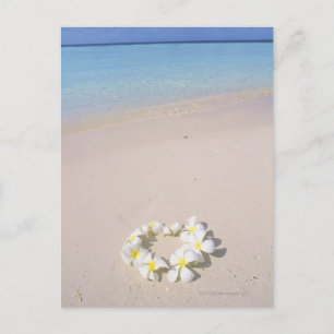 Carte Postale Frangipani sur la plage