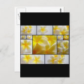 Carte Postale Frangipanis (Devant / Derrière)