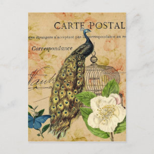 Carte Postale franical camellia birdcage vintage peacock