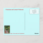 Carte Postale Frank, Leo et Mandarin (Dos)